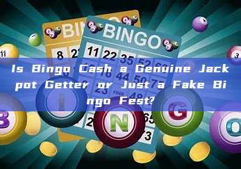 Is Bingo Cash a Genuine Jackpot Getter or Just a Fake Bingo Fest?