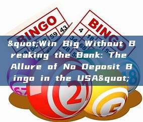 "Win Big Without Breaking the Bank: The Allure of No Deposit Bingo in the USA"