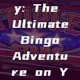 "Win Big with Real Money: The Ultimate Bingo Adventure on Your Android Device!"